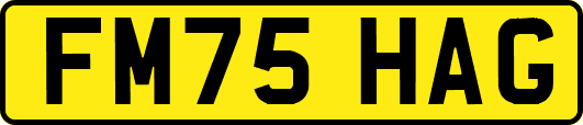 FM75HAG
