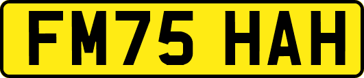 FM75HAH