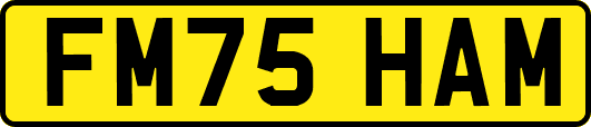 FM75HAM