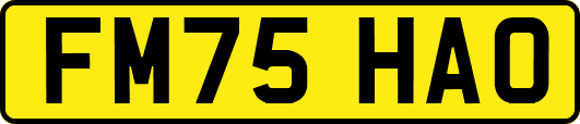 FM75HAO