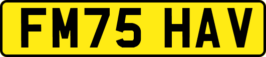 FM75HAV