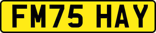 FM75HAY