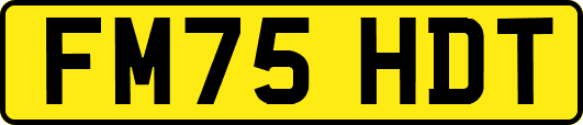 FM75HDT