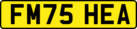 FM75HEA