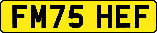 FM75HEF