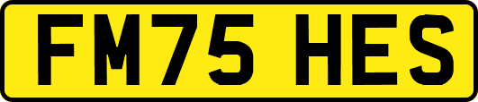 FM75HES