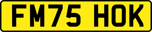 FM75HOK