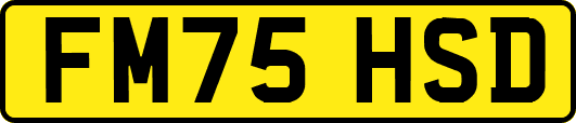 FM75HSD
