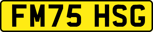 FM75HSG