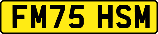 FM75HSM
