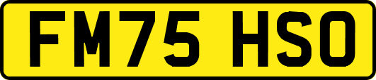 FM75HSO