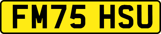 FM75HSU