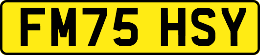 FM75HSY