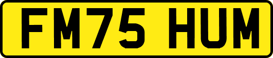 FM75HUM