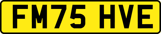 FM75HVE
