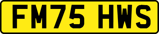 FM75HWS