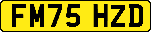 FM75HZD