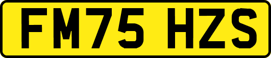 FM75HZS