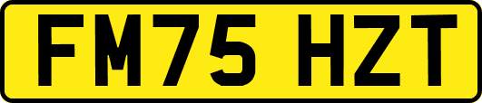 FM75HZT