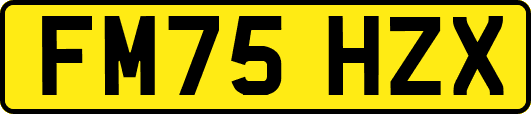 FM75HZX