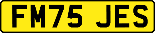 FM75JES