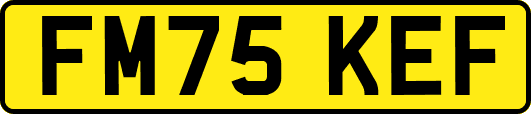 FM75KEF