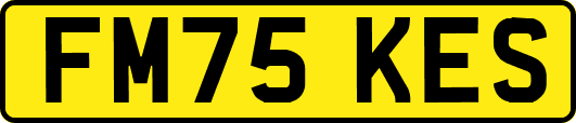 FM75KES