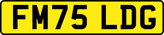 FM75LDG