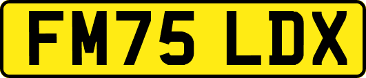 FM75LDX
