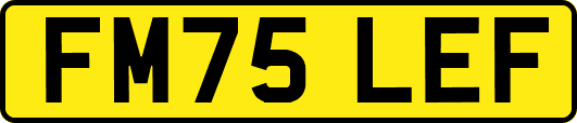 FM75LEF