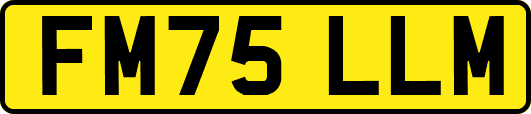 FM75LLM