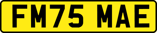 FM75MAE