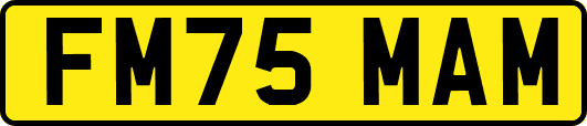 FM75MAM