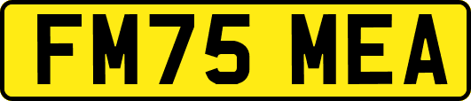FM75MEA