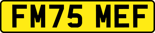 FM75MEF