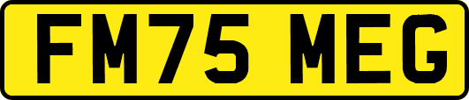 FM75MEG