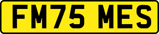 FM75MES