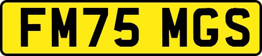 FM75MGS
