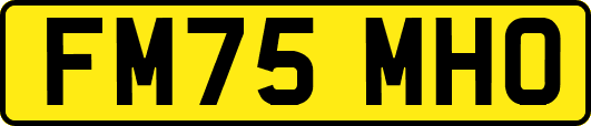 FM75MHO