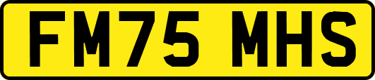 FM75MHS