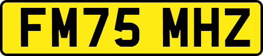 FM75MHZ