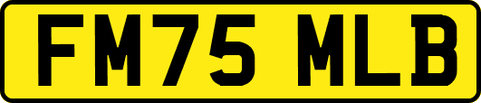 FM75MLB