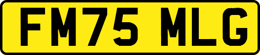 FM75MLG