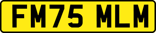 FM75MLM