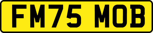 FM75MOB