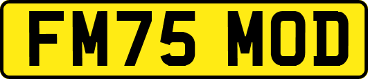 FM75MOD