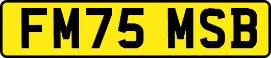 FM75MSB