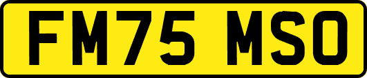 FM75MSO