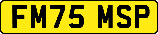 FM75MSP