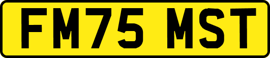 FM75MST